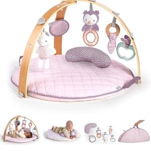 Ingenuity Wooden Play Gym